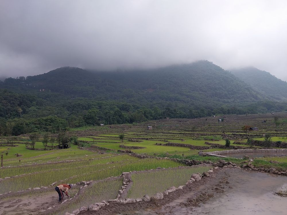 Nagaland witnessing increasing climate variability: Report. (Morung File Photo)